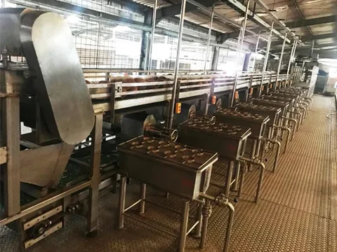 coconut water and milk processing plant