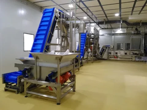 raisin processing plants