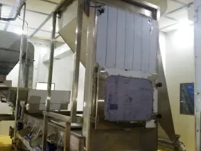 raisin processing plants