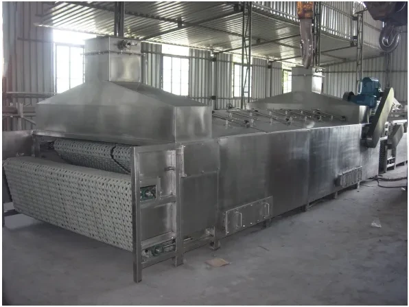 tunnel pasteurizers