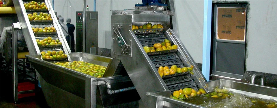 Fruits